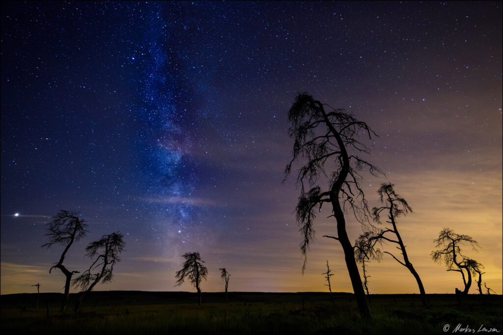 Eine beeindruckende nächtliche Landschaft im Hohen Venn, die den klaren Sternenhimmel mit der Milchstraße zeigt. Silhouetten von dürren Bäumen ragen gegen den Himmel.